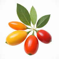 Nutrition Équilibre logo